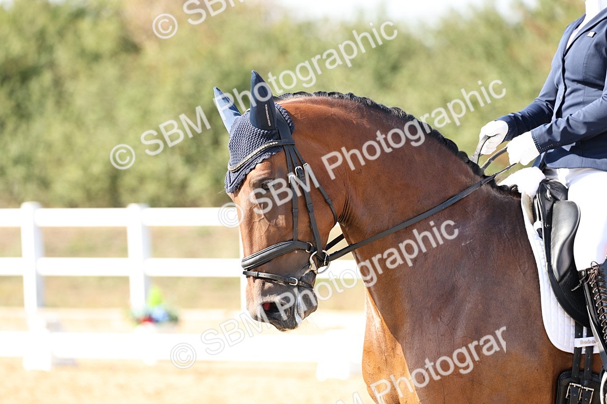 SBM_015307 - Class 9 - Advanced medium 3