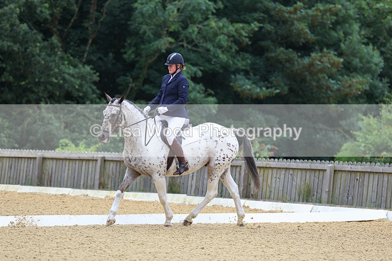 3E7A4531 - Class 1: Intro 4 2024 section A