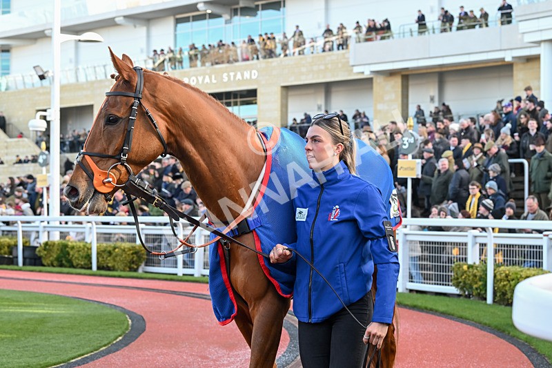 250125-Race 1-Ryans Rocket-3773 - Race 1