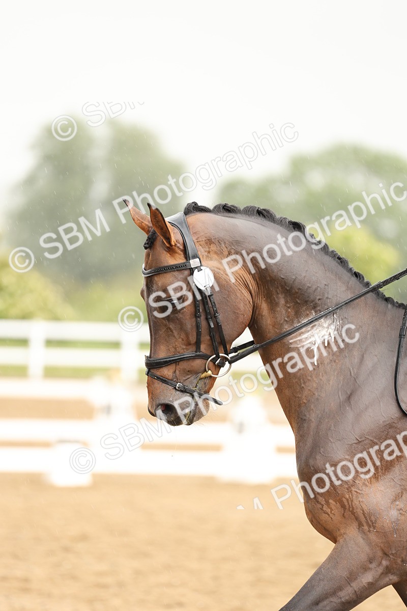 SBM_004958 - Class 6a - Novice 5 - 14.48-16.40
