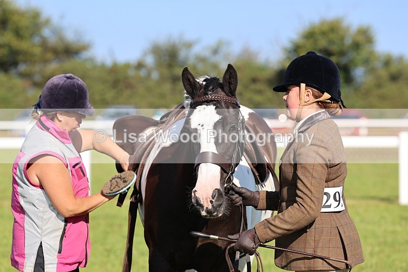IMG_1396 - Class 28: Ridden Plaited Coloured Pony