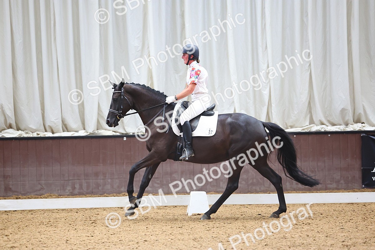 SBM_021919 - Class 14 - N6