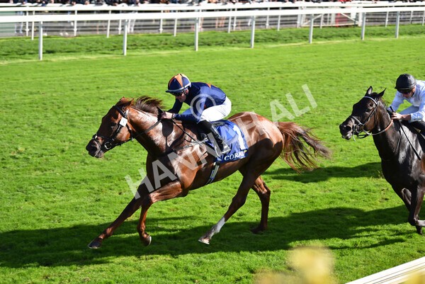 yr08102022r3-47 - Race 3 2.40pm The Coral 'Beaten-by-a-Length' Free Bet Handicap