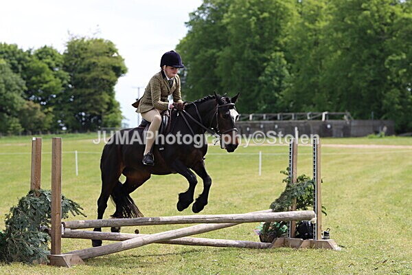 IMG_3129 - Working Hunter