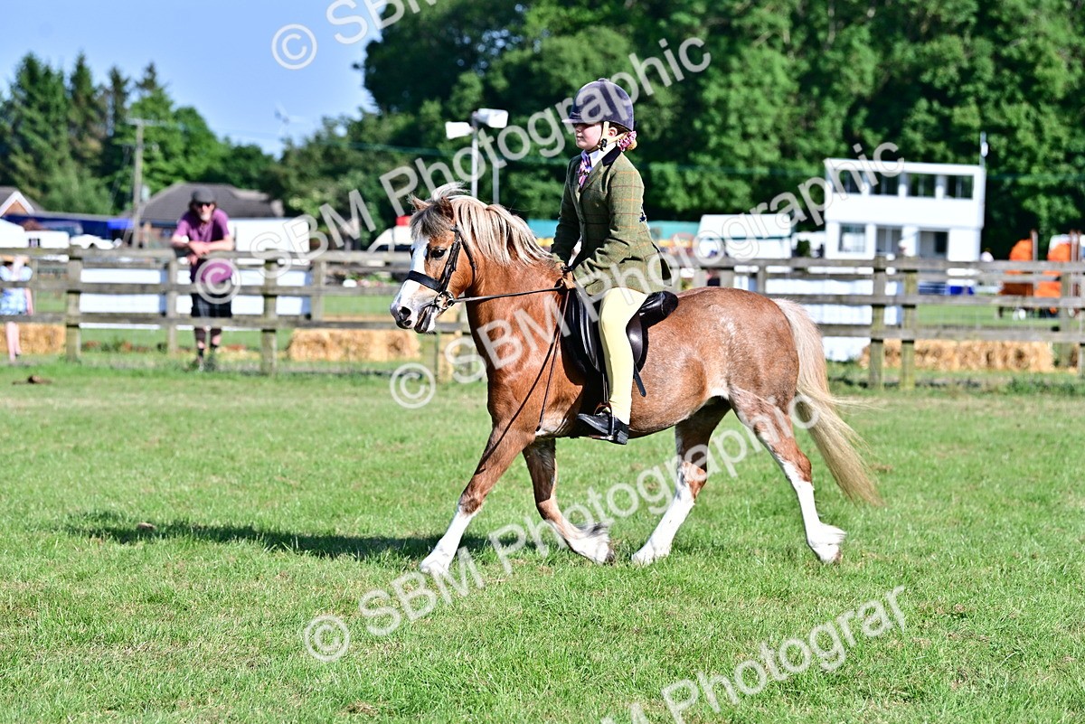 SBM_19848 - Class 103 - 105 - TSR Ridden Amateur of the Year Plaited Ponies