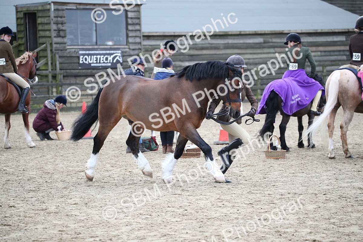 SBM_006396 - Class 10-13 - RIHS Small Large Breeds