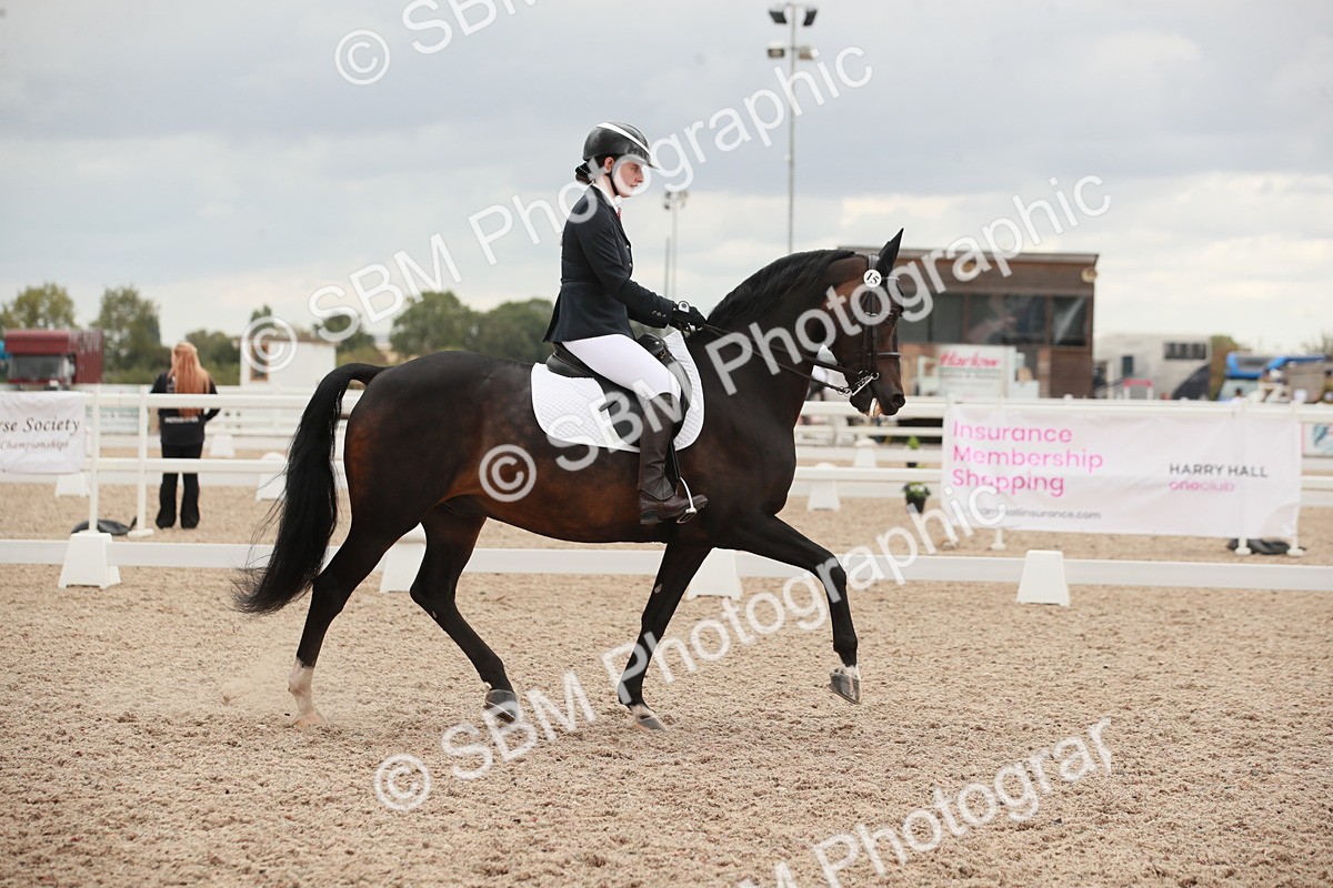 SBM_06120 - Class 33 - Elementary 1