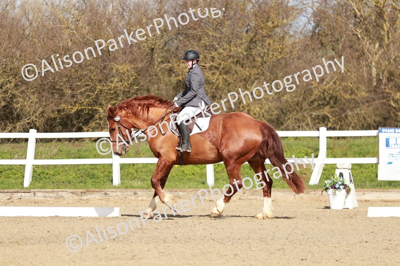 20260314-2842 - DR3 - Prelim 1