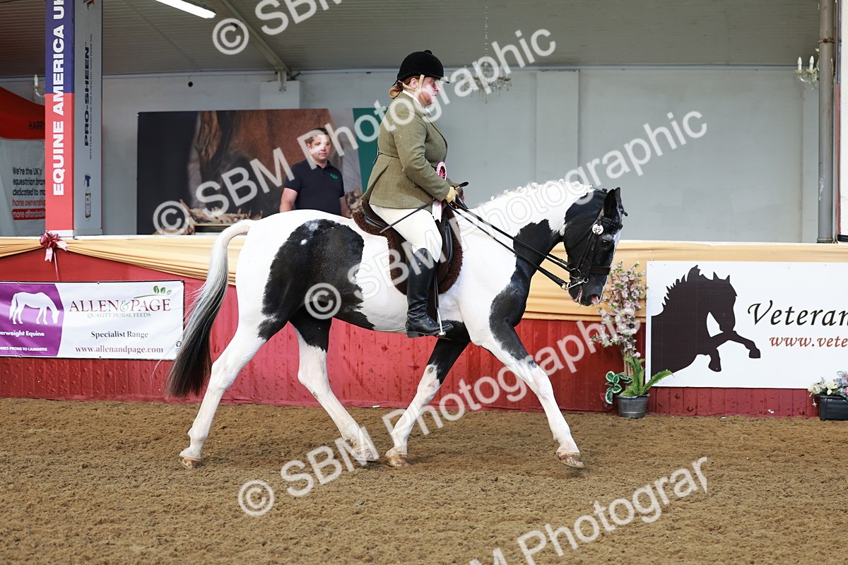 SBM_12024 - Class 102 - Equitation (Best Rider) Adult