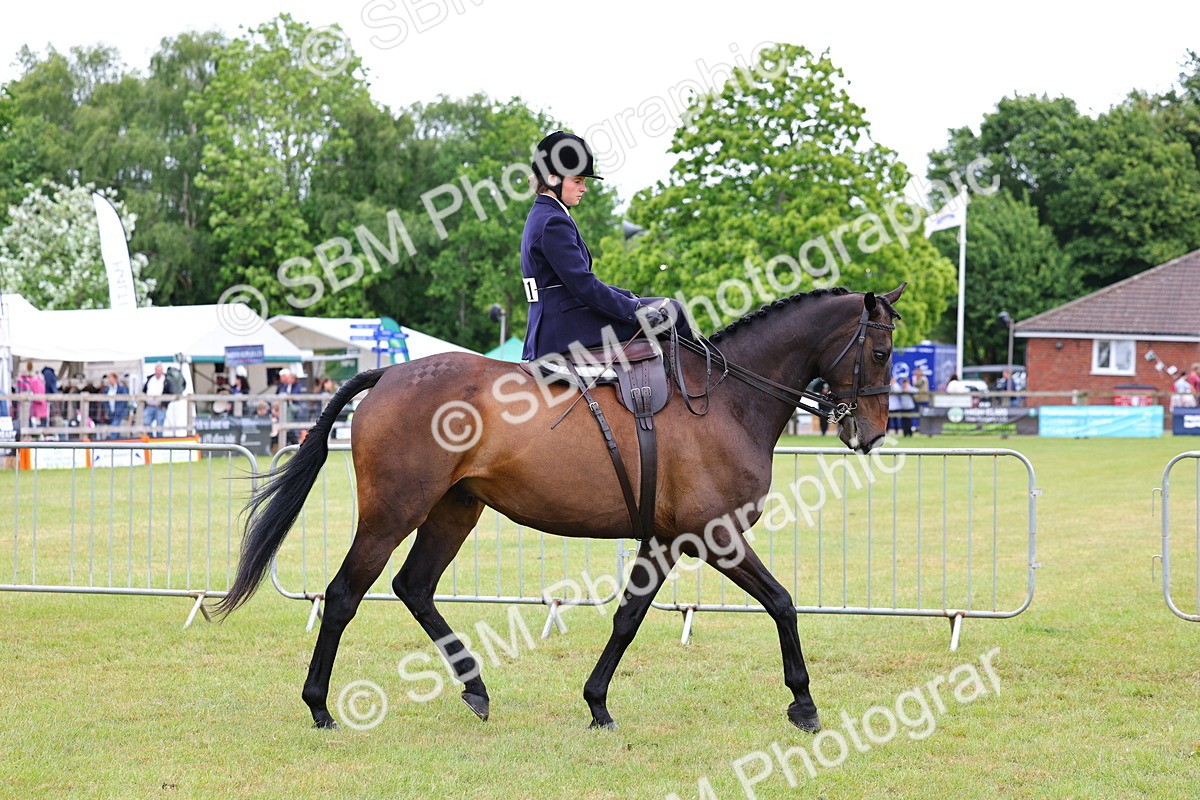 SBM_02809 - Class 9-11 Side Saddle including LIHS Rising Star Ladies Show Horse