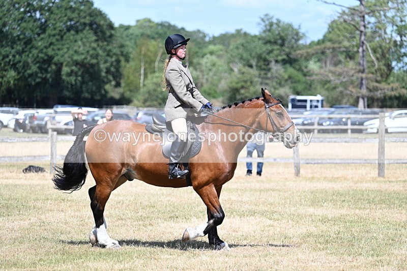 WJ7_3473 - Class 8 Ridden Veterans