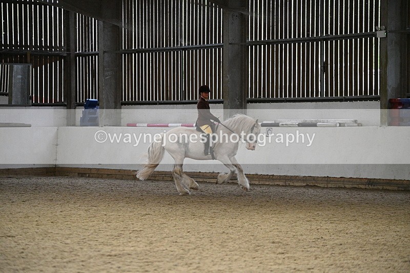 WJ7_3749 - Class 16 Ridden Coloured/ Odd Coloured