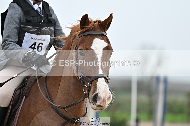 241110-100330-00176 - 40cm Showjumping