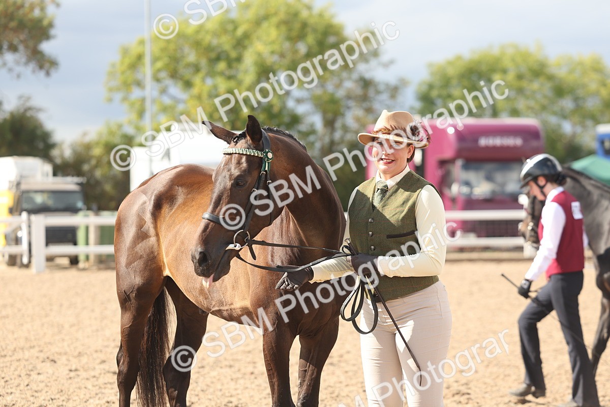 SBM_06880 - Class 25 - IH Foreign Breeds - Purebred