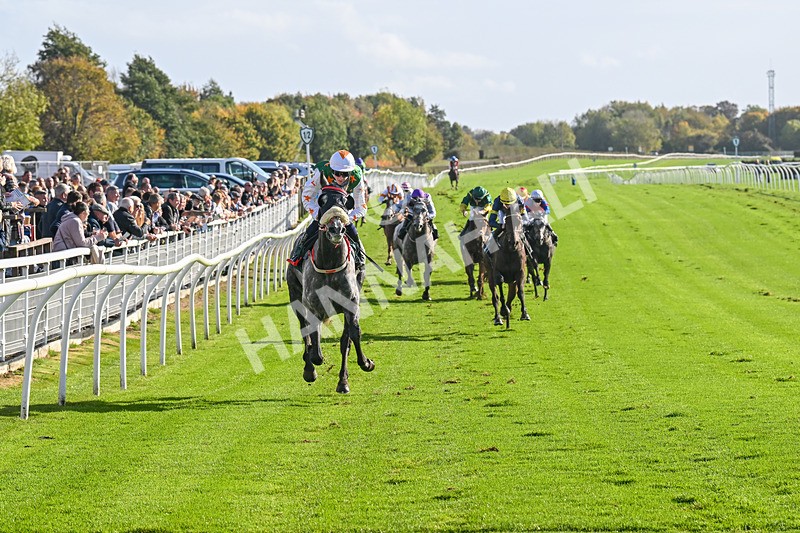 191024-Race 2-Morandi Second-4036 - Race 2