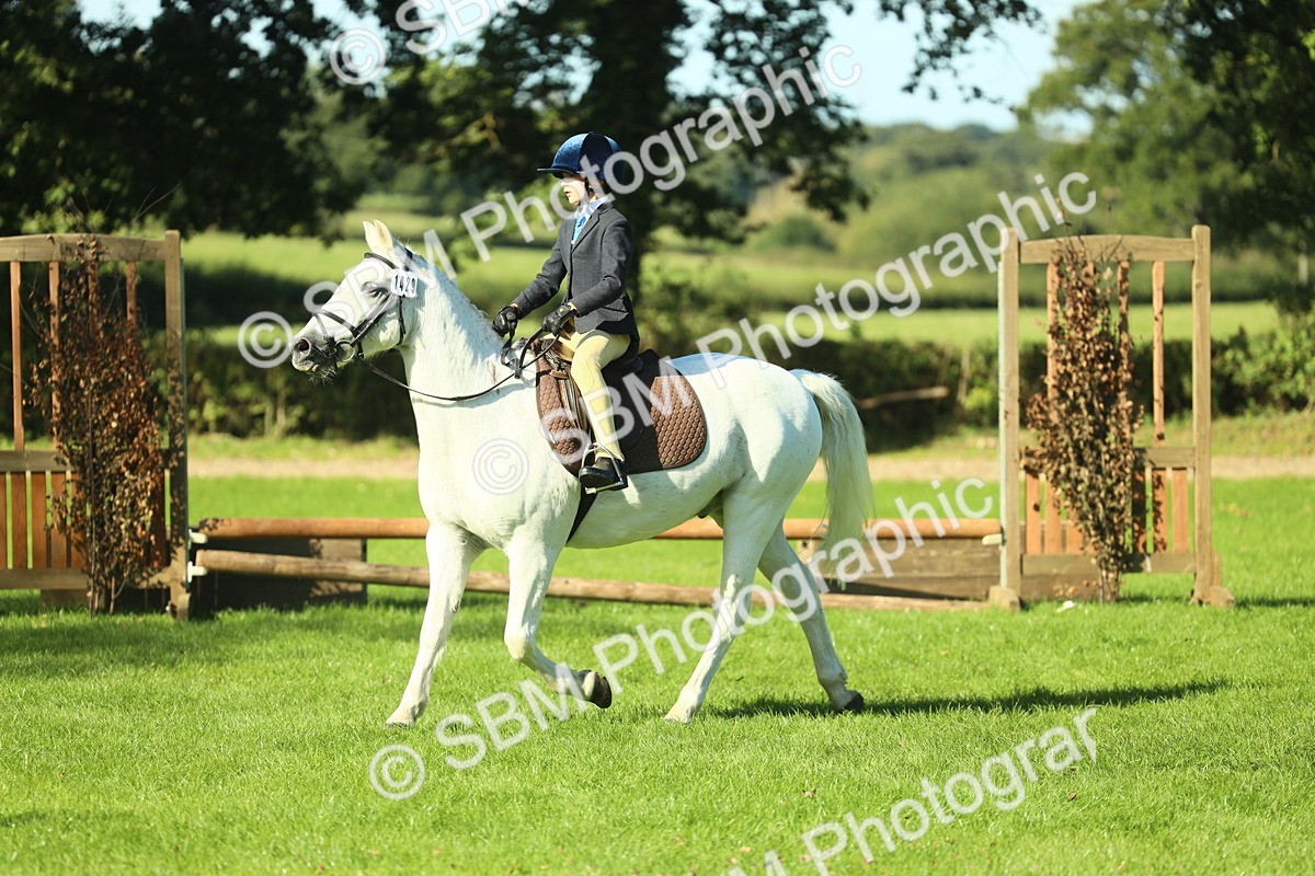 SBM_36485 - S29 - Novice & Newcomers Working Hunter Pony