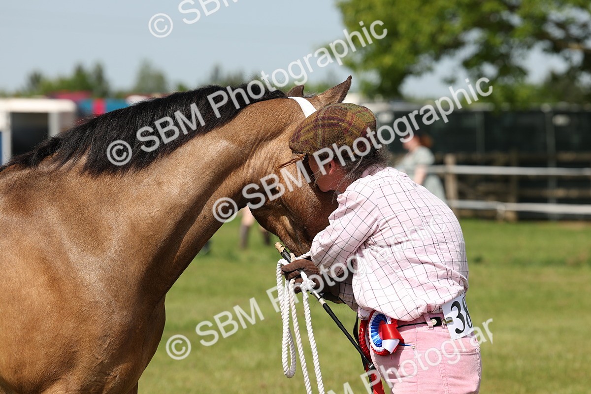 SBM_02418 - Class 6-13 - Mountatin and Moorland In Hand Welsh Breeds