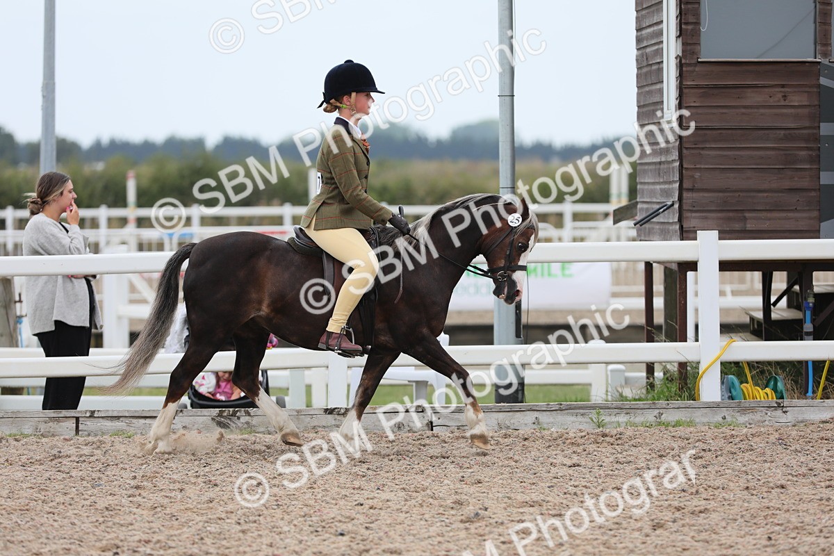 SBM_18036 - Class 316 Best Pony/Rider Combination