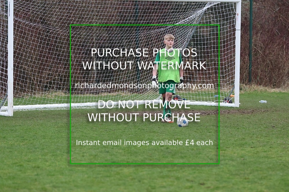 533A6658 - Lonsdale Terriers