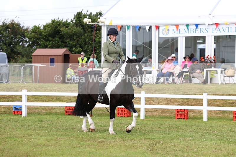 3E7A0315 - Class 6: Rising Star Maxi Cobs