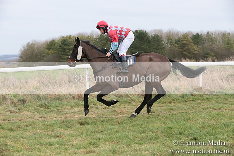 PtP 060119 233 - Larkhill Racing Club - Point-to-Point- 06/01/2019