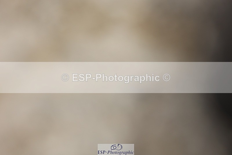 230812-144035-04475 - Cls 5 Novice Bronze 13.40 to 14.45 break