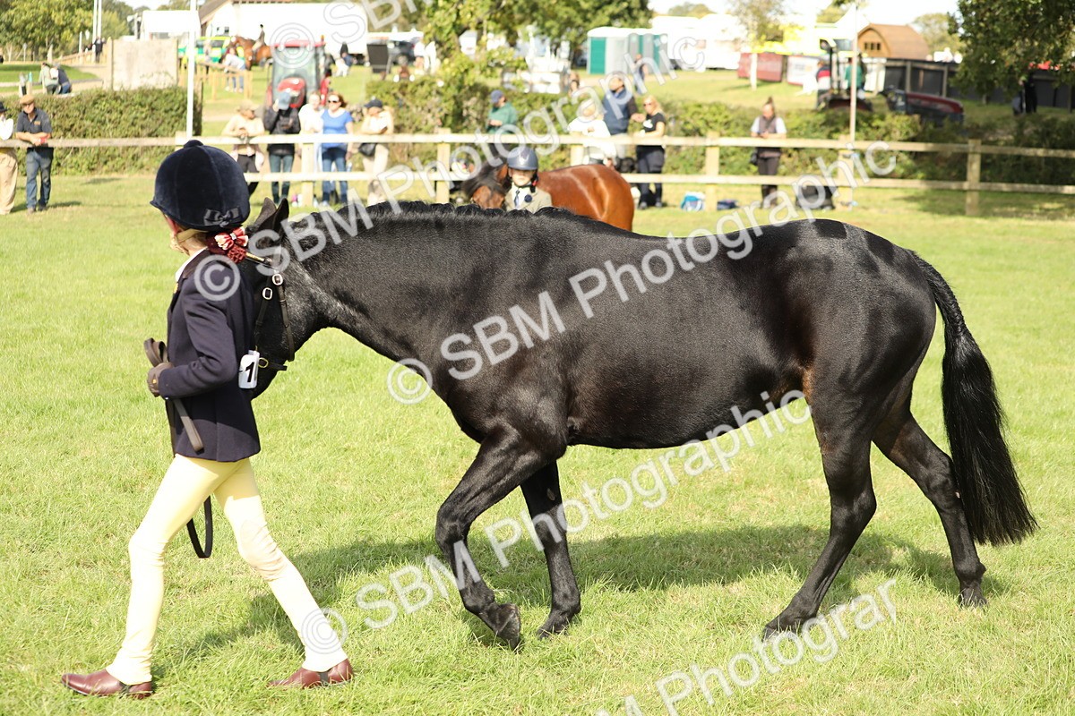 SBM_68578 - S40 - Junior Handler 9-12 Years