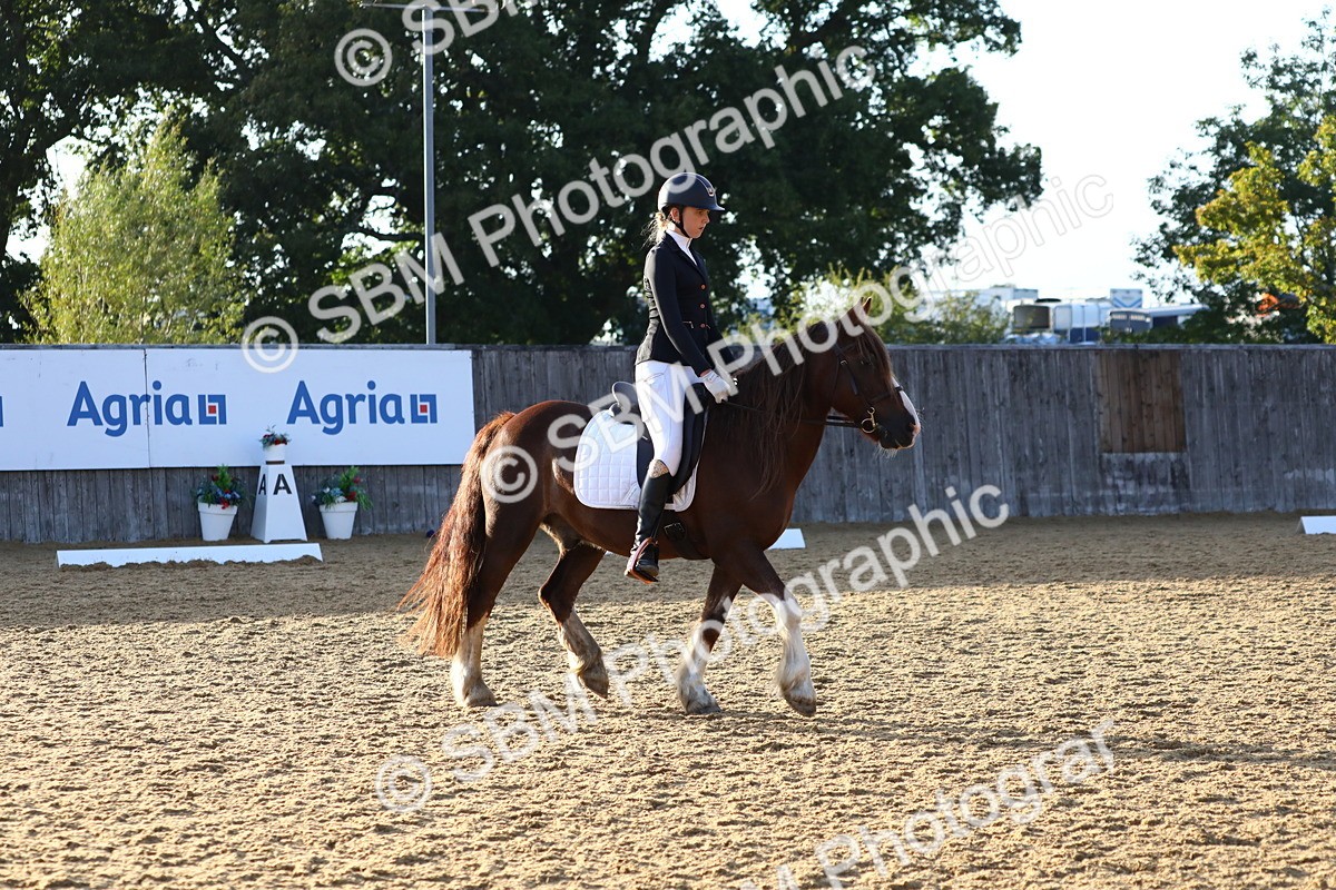 SBM_31717 - D11 - Small Tour Championship Prelim 1