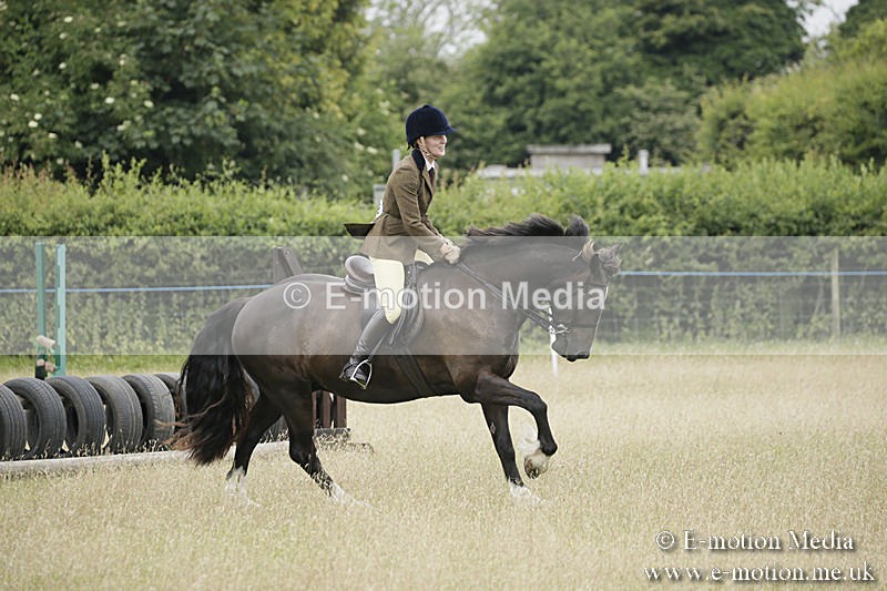 B230619-0094 - Bourne Valley Riding Club Summer Show 23/06/19