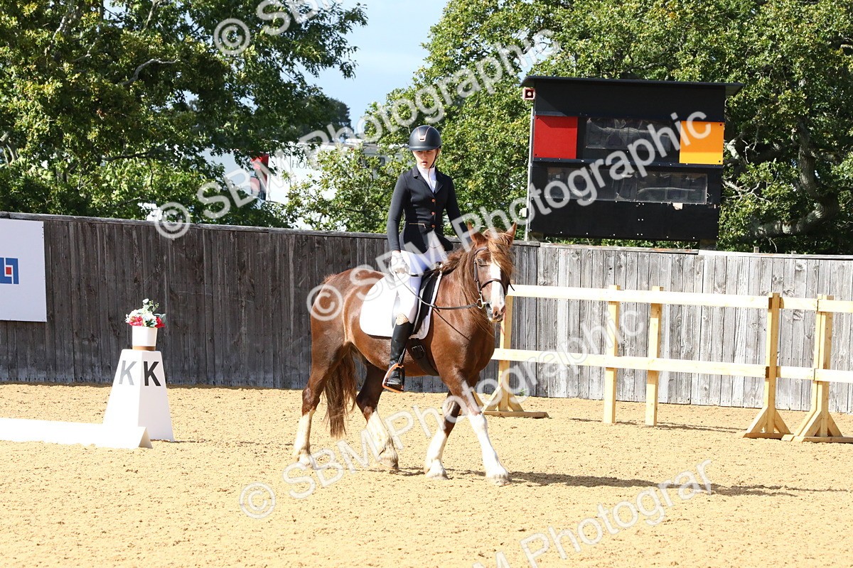 SBM_24407 - D5 - Small Tour Championshop Intro 2