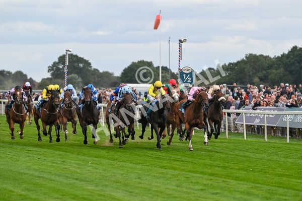 210825-Race 3-Bullet Point-4214 - Race 3 3.00pm Clipper Handicap