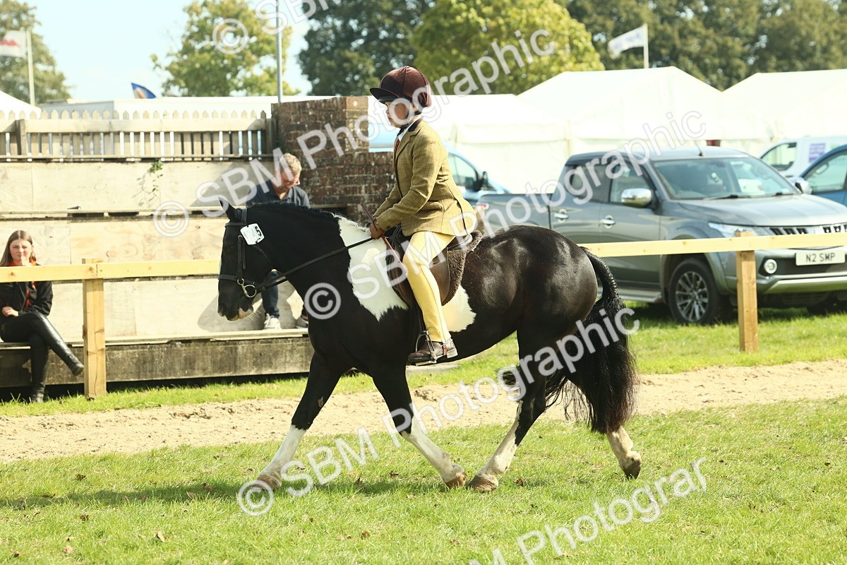 SBM_68885 - S58 - Mini Show Cob Ridden