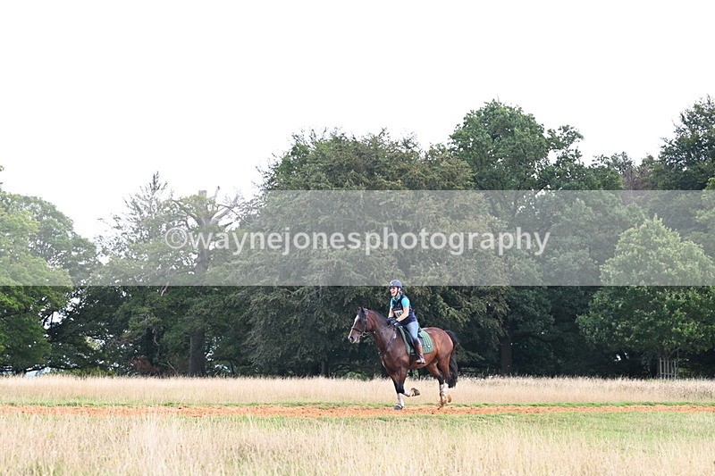 DSC_8223 - Time at Statue 13:52 to 14:33