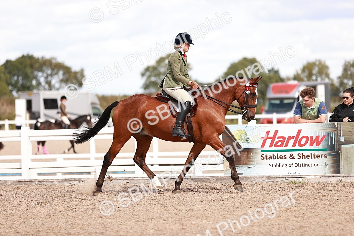 SBM_14473 - Class 410 - Grassroots Ridden - Horse