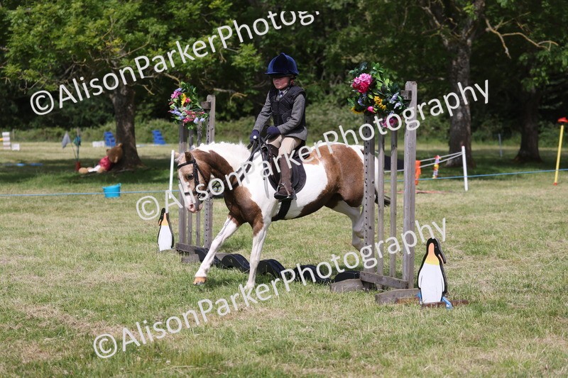 20260614-0689 - Class 20 - Beginners Working Hunter Pony