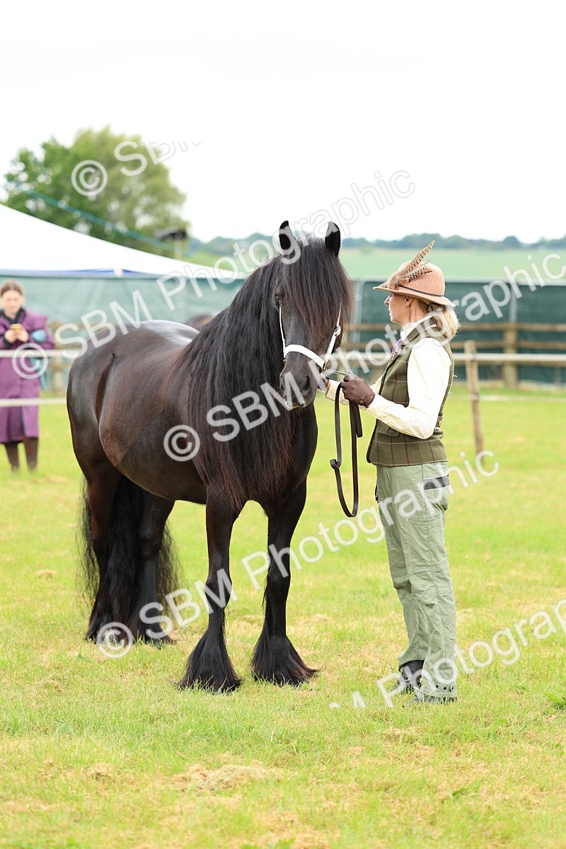 SBM_00561 - Class 58-67 - M&M Non Welsh Pony In hand