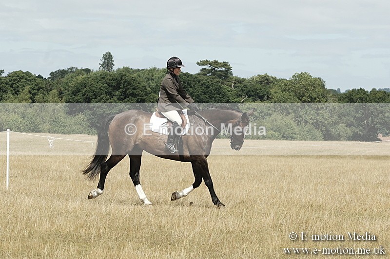 _PJP6007 - BVRC Show 2018 Ring 1