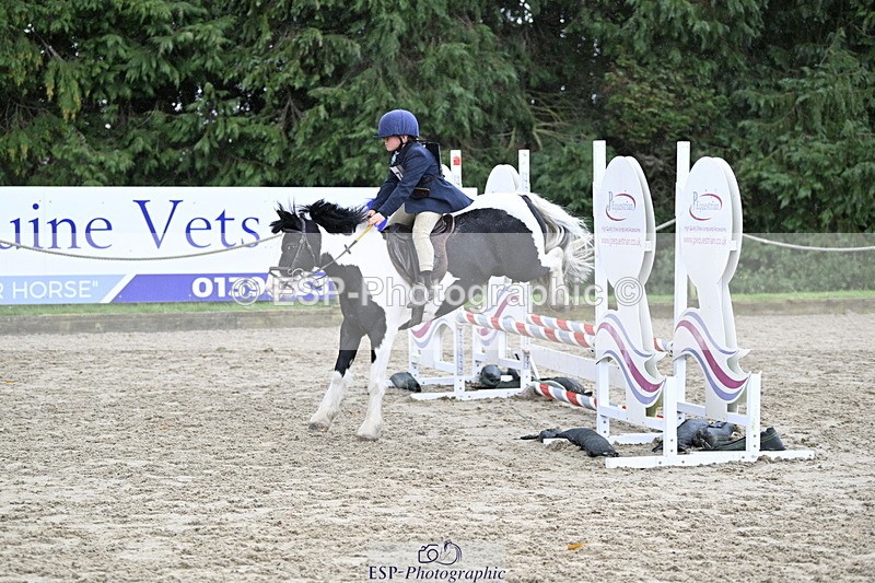 251005A-120426-03597 - Cls 08 Mini 70-75cm