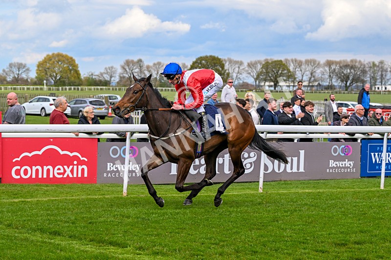 150426-Race 2-Princesse DOrange-5382 - Race 2