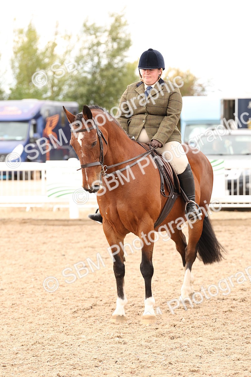 SBM_16511 - Class 212 - Ridden Hunter - Small