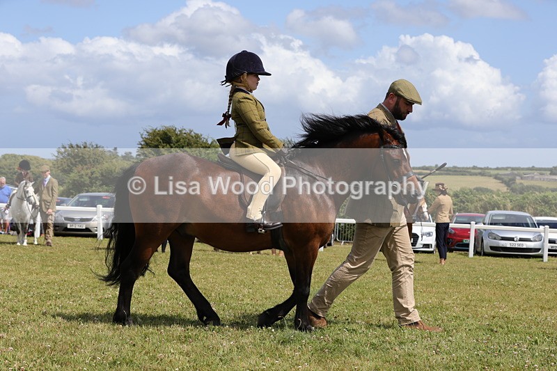 1X9A5196 - Class 36: NPS M&M Lead Rein