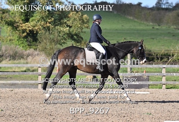 BPP_9267 - SHORT ARENA