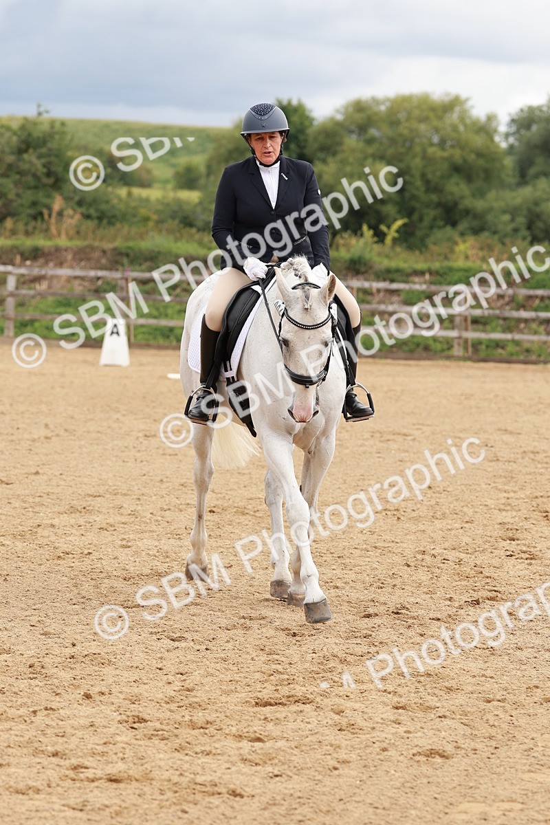 SBM_002709 - Novice 2