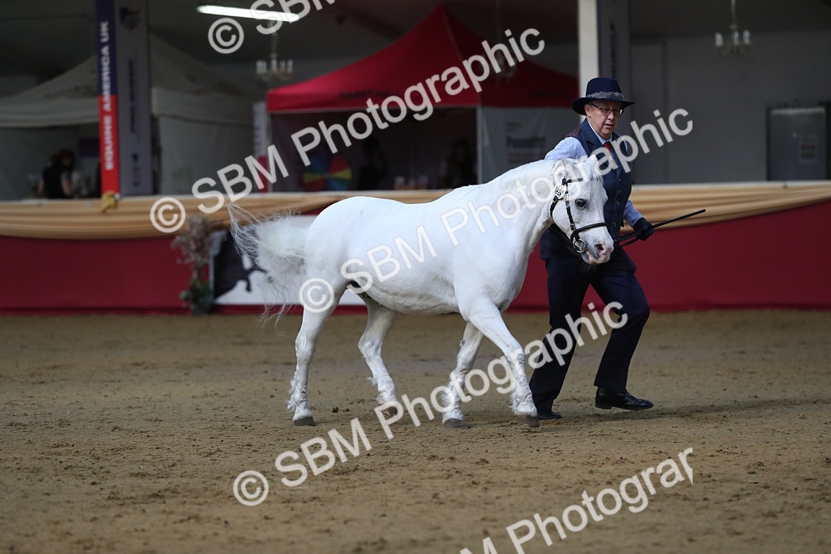 SBM_00551 - class 2a Area IH Veteran