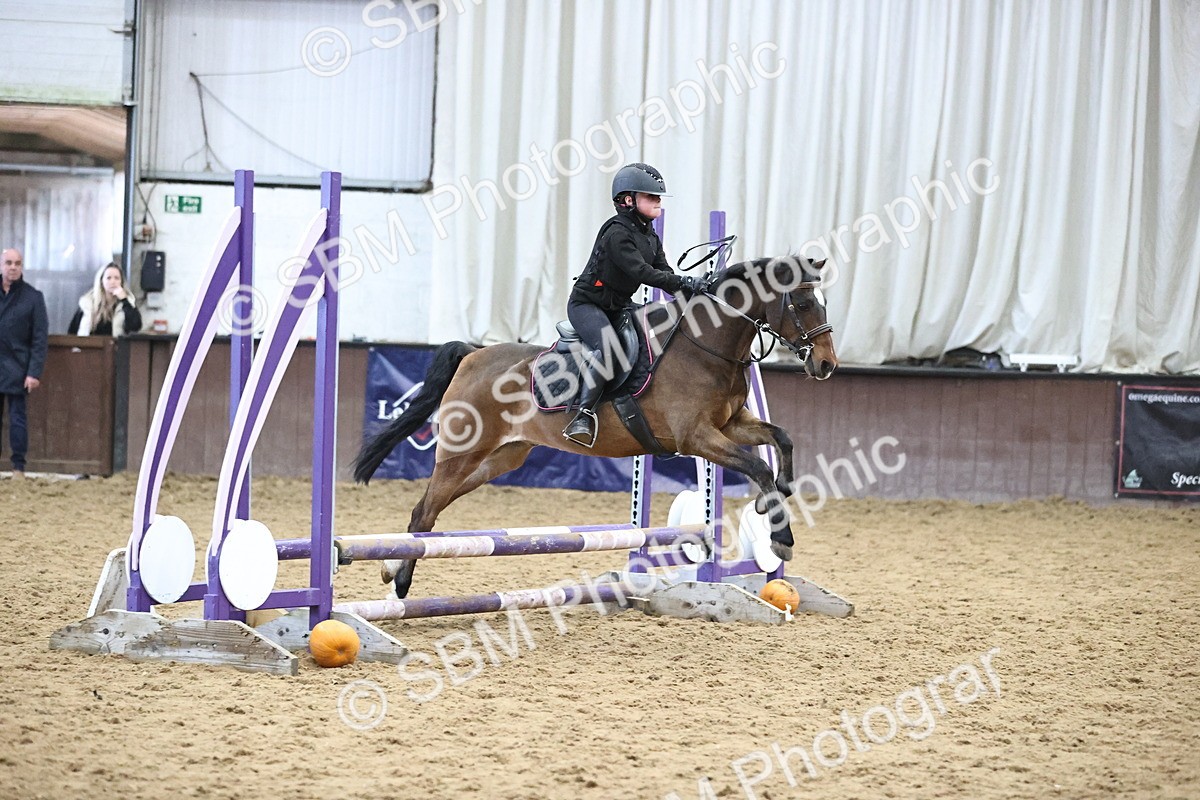 SBM_001406 - Class 3 - Horse & Hound 60cm