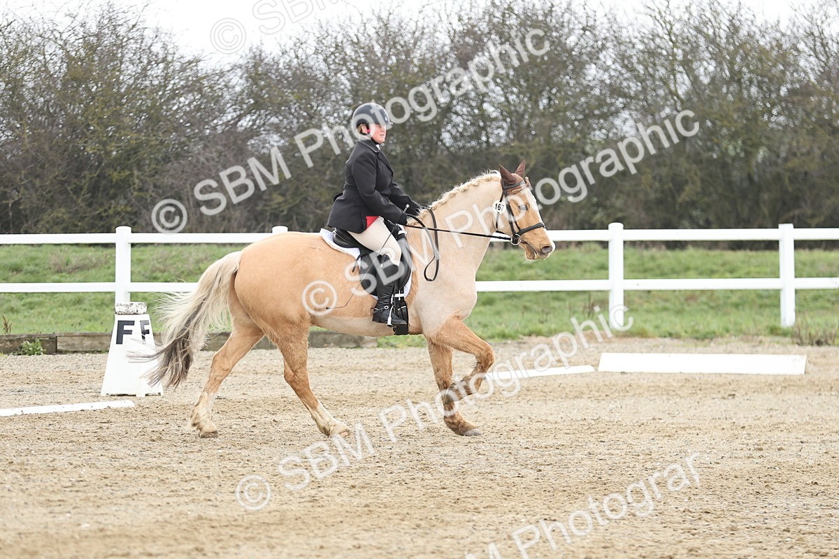 SBM_004202 - Novice 1