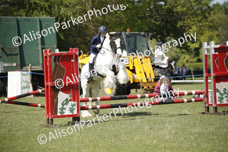 20250427-2354 - Class 13 - Novice Jumping 60cm