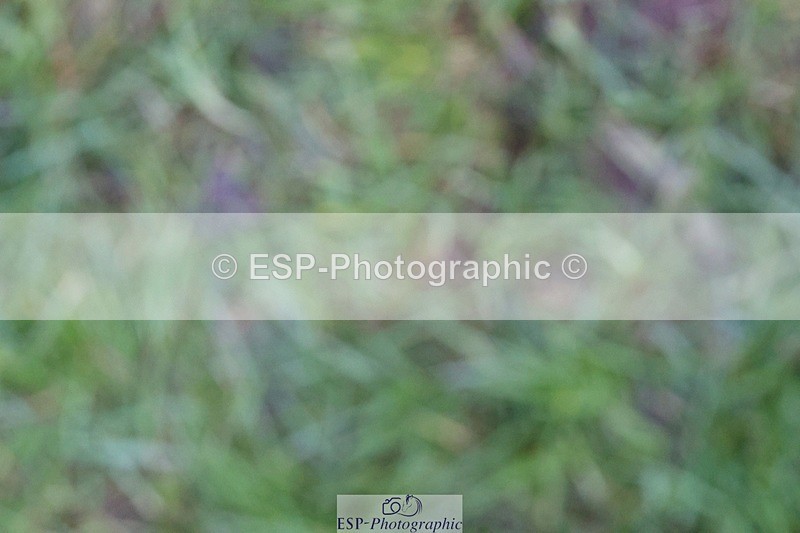 231022-163705-30538 - BE90 Presentations