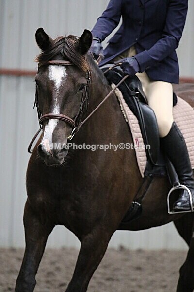 SIAL4694 - CAbin Dressage 5th july 2025