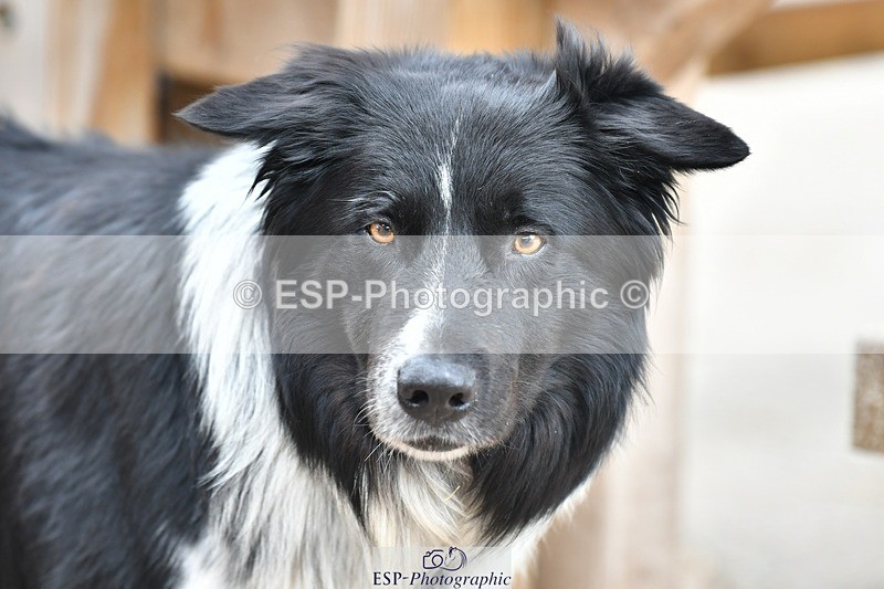 230817-153904-03105 - Presentations